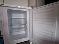 1 Liebherr Gefrierschrank - Solingen (Klingenstadt)