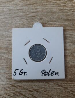 Polen 5 Groszy 1962 Münze - Unna