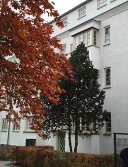 +++++ süsse 2-Raum-Wohnung im beliebten Wohngebiet Chemnitz/HEIMGARTEN+++++ - Chemnitz
