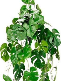 Kunstpflanze Künstliche Monstera Hängende Splitphilo Hängeampel, I.GE.A., Höhe 87 cm, Zimmerpflanze Busch Dekopflanze Grünpflanze Seidenpflanze Dekopflanze