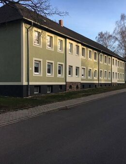 Frisch renovierte 3-Zimmer-Wohnung in Mücheln am Geiseltalsee zu vermieten! - Mücheln (Geiseltal)