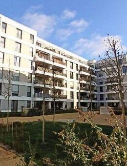 ---LUXURIÖSE 4RW MIT RIESIGER TERRASSE IM HERZEN VON STRIESEN--- - Dresden