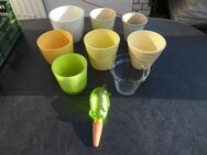 Blumentopf Übertopf grün gelb beige Keramik Glas La Vida Deko 8 Übertöpfe + Scheurich Wasserspeicher Bördy zus. 7,- - Flensburg