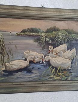 Gemälde hangemalt signiert - Enten im See - Knittlingen Zentrum