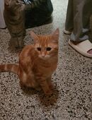 Wir suchen dringend ein neues Zuhause in 12101