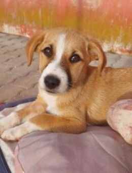 Paolina sucht ihre Familie - Neuss