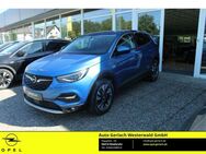 Opel Grandland INNOVATION 1.2 Turbo EU6d-T Innovation AHK Navi Sensorges.Heckkla AHK-abnehmbar - Niederahr