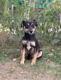 Malna sucht dringend ihre Menschen! - Köln