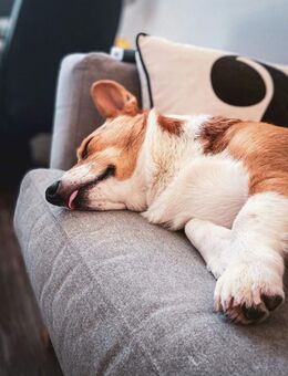 Bauen mit Vertrauen: Die Zukunft für Ihre Familie - Bielefeld