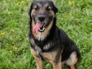 MAXI - na maxi...mal aufgeschlossen - Overath