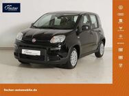 Fiat Panda, 1.0 GSE Hybrid, Jahr 2024 - Pilsach