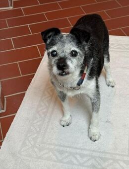 Loopings nun unerwünscht: 🧡 Paloma - Jade