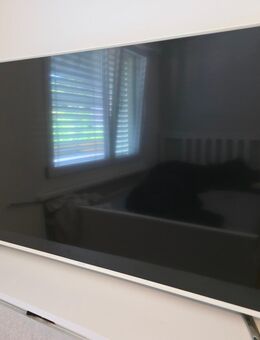 TV smart 55 zoll samsung - Malters
