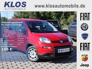 Fiat Panda, 1.0 HYBRID GSE 70PS CITY PAKET, Jahr 2024 - Dreieich