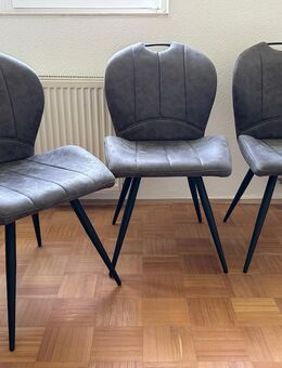6 stylische & bequeme Esszimmerstühle - Augustusburg