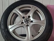 Tourador X ALL CLIMATE TF1 205/55 R16 94V XL Ganzjahresreifen - Sundern (Sauerland)