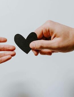 Feste Freundschaft und Partnerschaft auf hohem Niveau mit einem Mann gesucht - Dresden