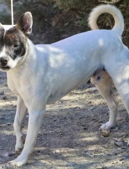 Mark, neugierig, bewegungsfreudig, offen - Westerholt