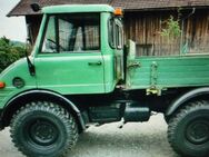 Unimog model 411 421 403 gesucht für waldarbeiten arbeit fahrbar motor getriebe ok - Schnaittach