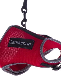 Trixie Katzengeschirr XCat mit Sticker und Leine - rot