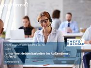 Junior Vertriebsmitarbeiter im Außendienst (m/w/d) - Heidelberg