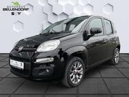 Fiat Panda, 1.2 Lounge hinten, Jahr 2018 - Bottrop