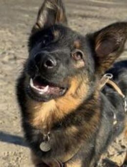 Haru sucht ihr Glück - München