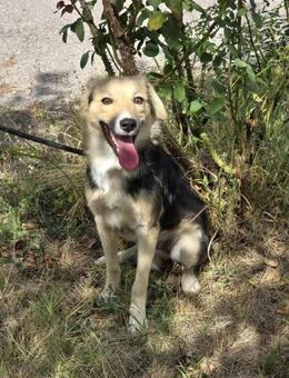 Sozialer OLI ist ein junger Schatz ♥️ - München