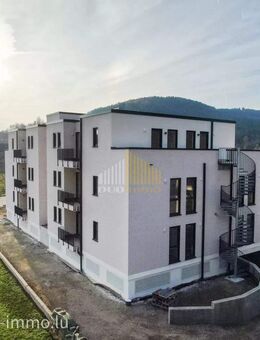 Moderne Wohnung in Echternacherbrück zu vermieten - Echternacherbrück
