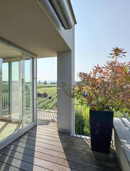 Exklusive 4-Zimmer-Wohnung mit Seeblick inmitten von Weinreben! - Nonnenhorn