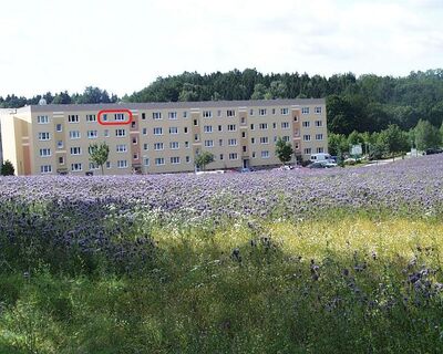 Wohnen am Kurpark 3-Raumwohnung zu vermieten