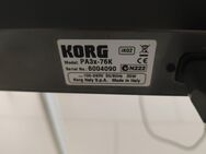 Korg PA 3 X 256 MB mit Tasche mit Türkischen Set - Darmstadt