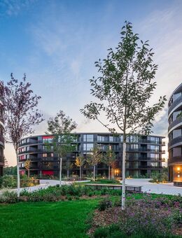 +++Luxuriöse 3-Raumwohnung im Neubau in direkter Elbnähe sucht Sie als neuen Mieter!+++ - Dresden