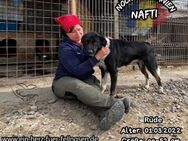 NAFTI-sooo ein liebevoller, hübscher Bub - Waakirchen