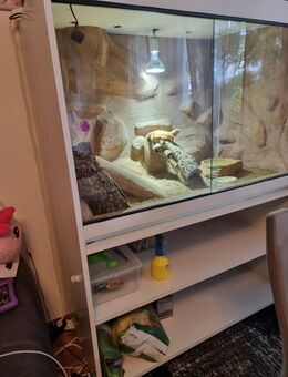 Terrarium - Ranschbach