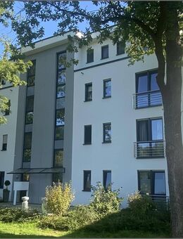 Exklusives Penthouse am Wildpark ! - Bad Sassendorf