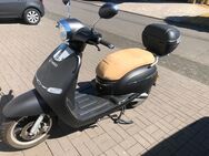 E-Roller Tinbot F10 mit Case - wenig gefahren, top in Schuss! - Birken-Honigsessen