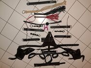 Sammlung Sextoys - Dissen (Teutoburger Wald)