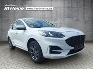 Ford Kuga, 2.5 ST-LINE X FAHRERASS PAKET, Jahr 2022 - Marienmünster