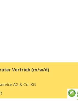 Personalberater Vertrieb (m/w/d) - Ingolstadt