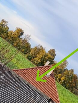 Haus 150 m² auf 1725 n² Grund auch für Pferdehaltung + Lagerhallen 500 m² - Bretten