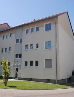 Noch dieses Jahr einziehen!! 3-Zimmer-Wohnung in Weddinghofen ab November zu besichtigen!! - Bergkamen