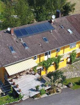 Gepflegtes Reiteranwesen m. Pension/Wohnhaus u. 18.700 qm, idyllischer ruhiger Lage im oberen Ilztal - Witzmannsberg