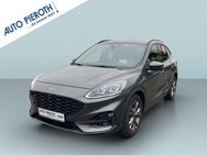 Ford Kuga 2.0 EcoBlue Hybrid ST-LINE X - Bingen (Rhein)