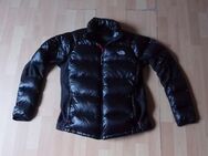 The north face pertex quantum Damen Jacke Gr L - Dortmund