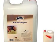 Prima Pferdeshampoo - Großgebinde 5,0 L für Pferde: Gründliche und Schonende Reinigung Horses shampoo - Mönchengladbach