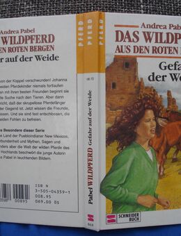 Das Wildpferd aus den roten Bergen Gefahr auf der Weide A.Pabel - Friedrichsdorf