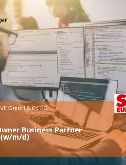 Solution Owner Business Partner Employee (w/m/d) - Bruchsal