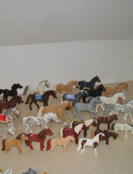 Playmobil ca 35 neuere Pferde - Everswinkel