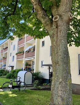 Attraktive ----vermietete -----Eigentumswohnungen in Lörick --- provisionsfrei - Düsseldorf